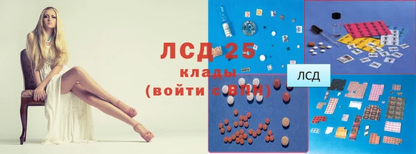 гидра Алексин