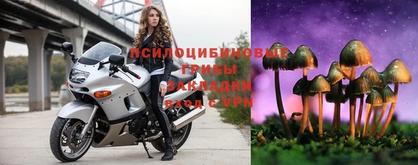 гидра Алексин
