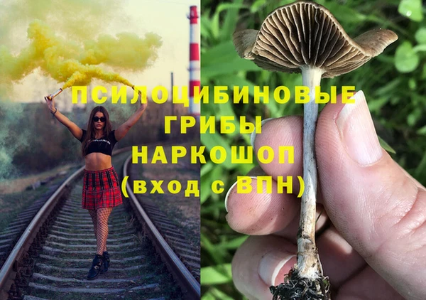 гидра Алексин